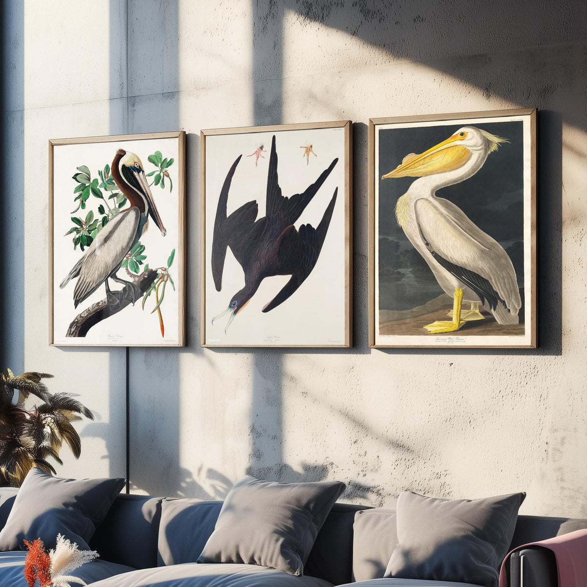 Set of Three John James Audubon Prints - Brown Pelican Frigatebird and American White Pelican - 3 Bird Paintings Poster Wall Art