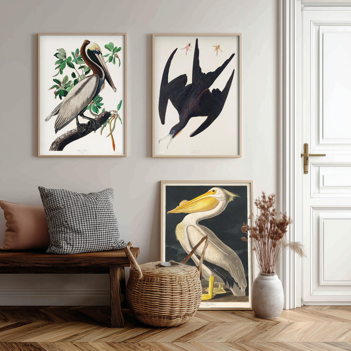 Set of Three John James Audubon Prints - Brown Pelican Frigatebird and American White Pelican - 3 Bird Paintings Poster Wall Art