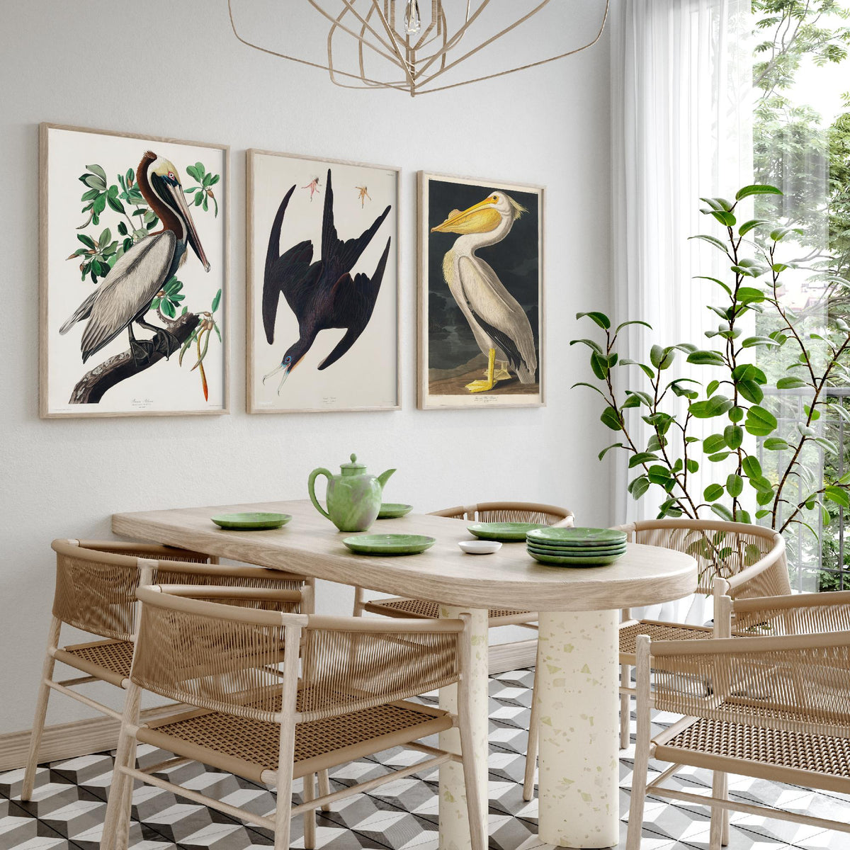 Set of Three John James Audubon Prints - Brown Pelican Frigatebird and American White Pelican - 3 Bird Paintings Poster Wall Art