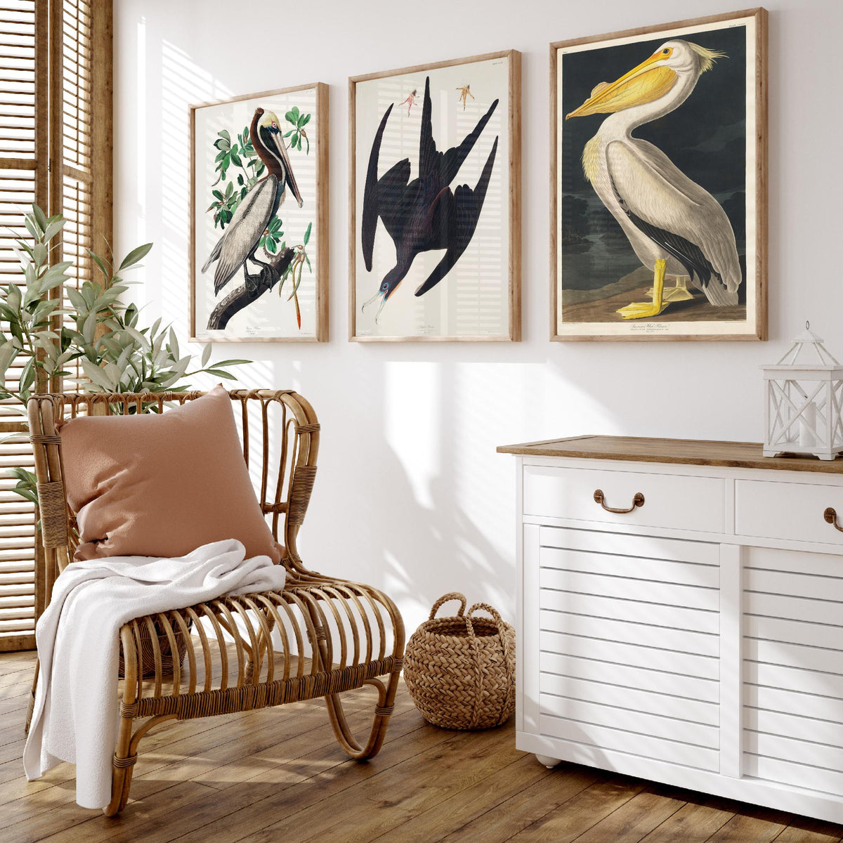 Set of Three John James Audubon Prints - Brown Pelican Frigatebird and American White Pelican - 3 Bird Paintings Poster Wall Art