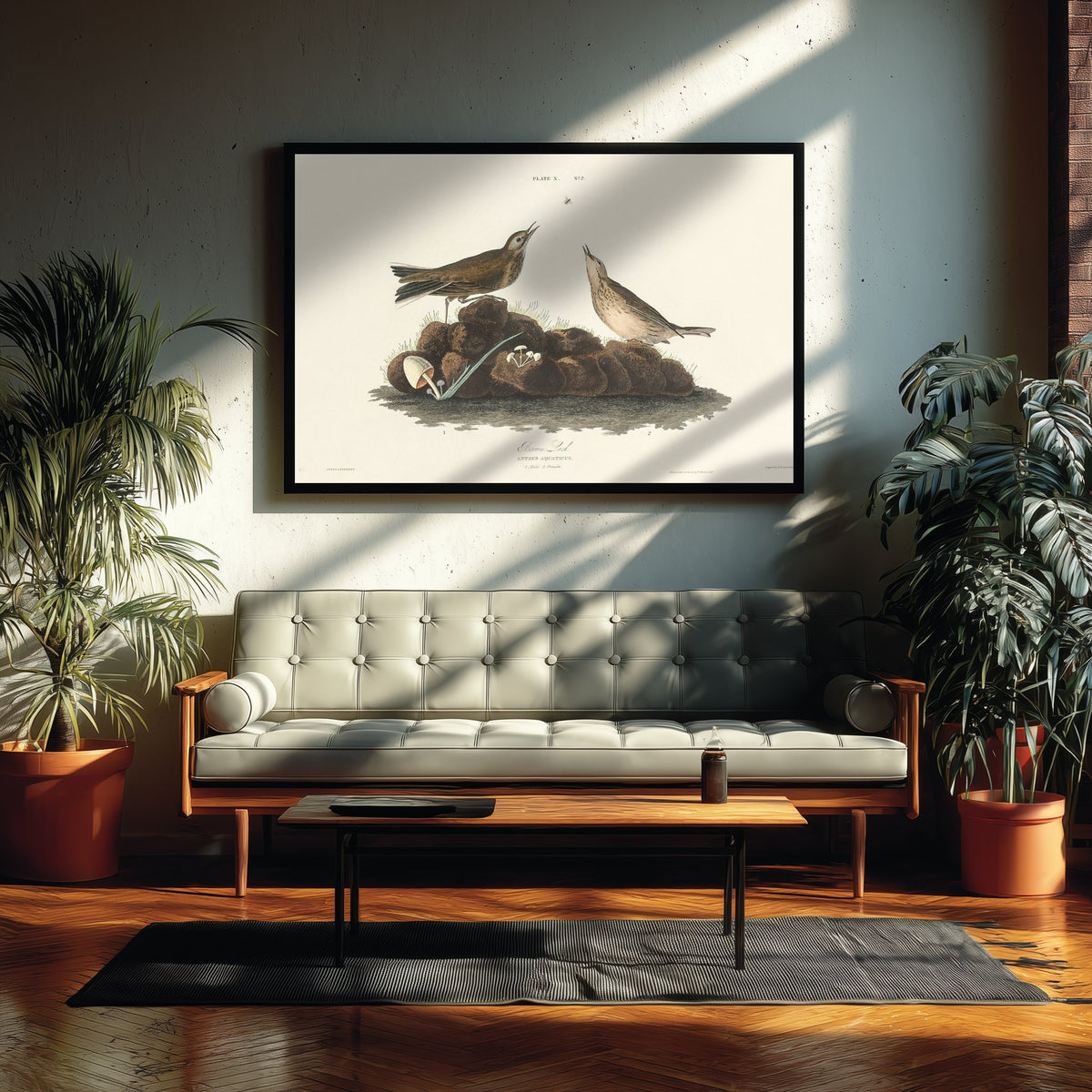 American Pipit Art Print - John James Audubon Poster - Birds of America Vintage Illustration