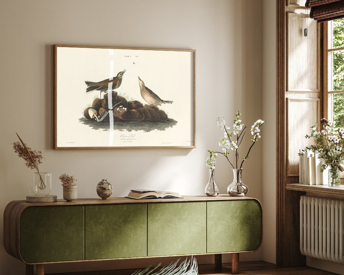 American Pipit Art Print - John James Audubon Poster - Birds of America Vintage Illustration