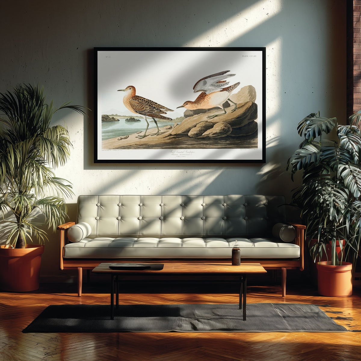 Buff-breasted Sandpiper Art Print - John James Audubon Poster - Birds of America Vintage Illustration