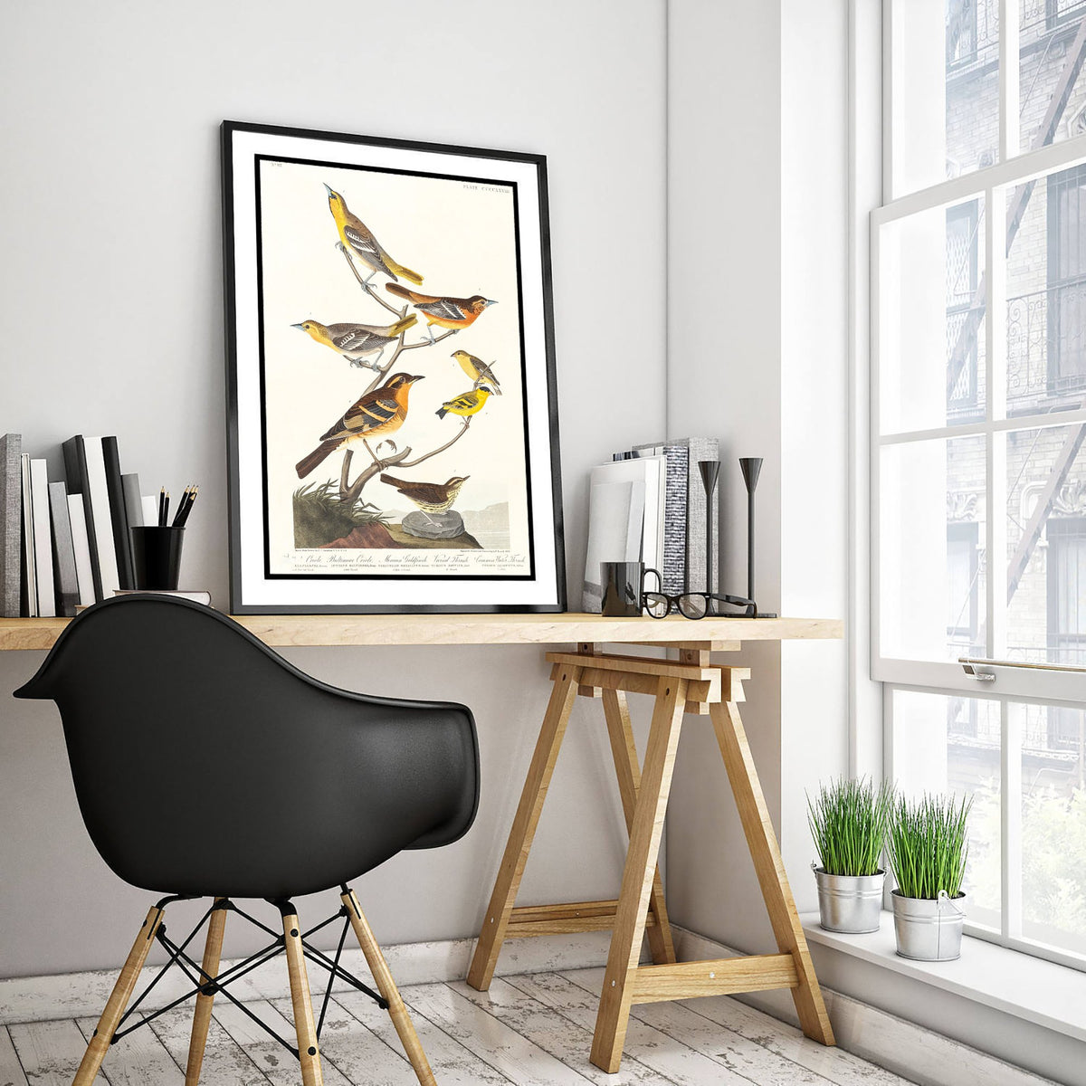 Bullock's Oriole Art Print - John James Audubon Poster - Birds of America Vintage Illustration
