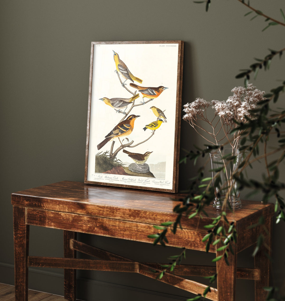 Bullock's Oriole Art Print - John James Audubon Poster - Birds of America Vintage Illustration