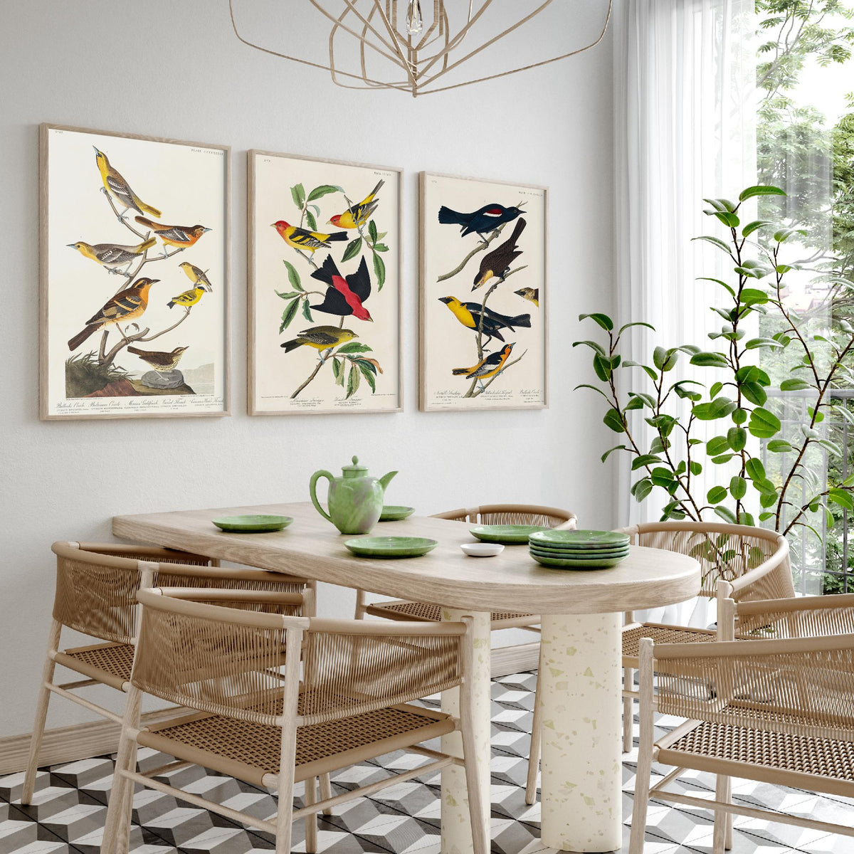Set of Three Audubon Bird Prints - Bullock's Oriole Louisiana Tanager and Yellow-headed Troopial - 3 Bird Paintings Poster Wall Art