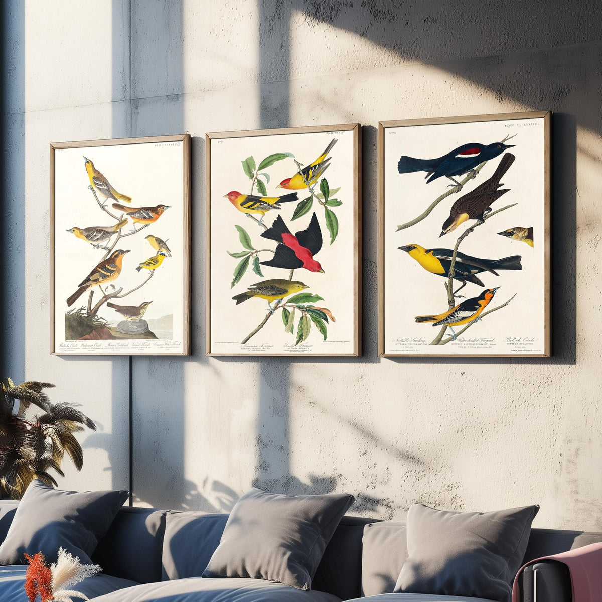 Set of Three Audubon Bird Prints - Bullock's Oriole Louisiana Tanager and Yellow-headed Troopial - 3 Bird Paintings Poster Wall Art