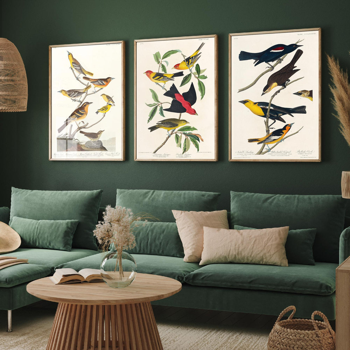 Set of Three Audubon Bird Prints - Bullock's Oriole Louisiana Tanager and Yellow-headed Troopial - 3 Bird Paintings Poster Wall Art