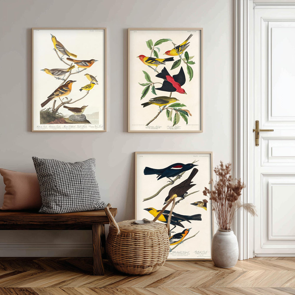 Set of Three Audubon Bird Prints - Bullock's Oriole Louisiana Tanager and Yellow-headed Troopial - 3 Bird Paintings Poster Wall Art