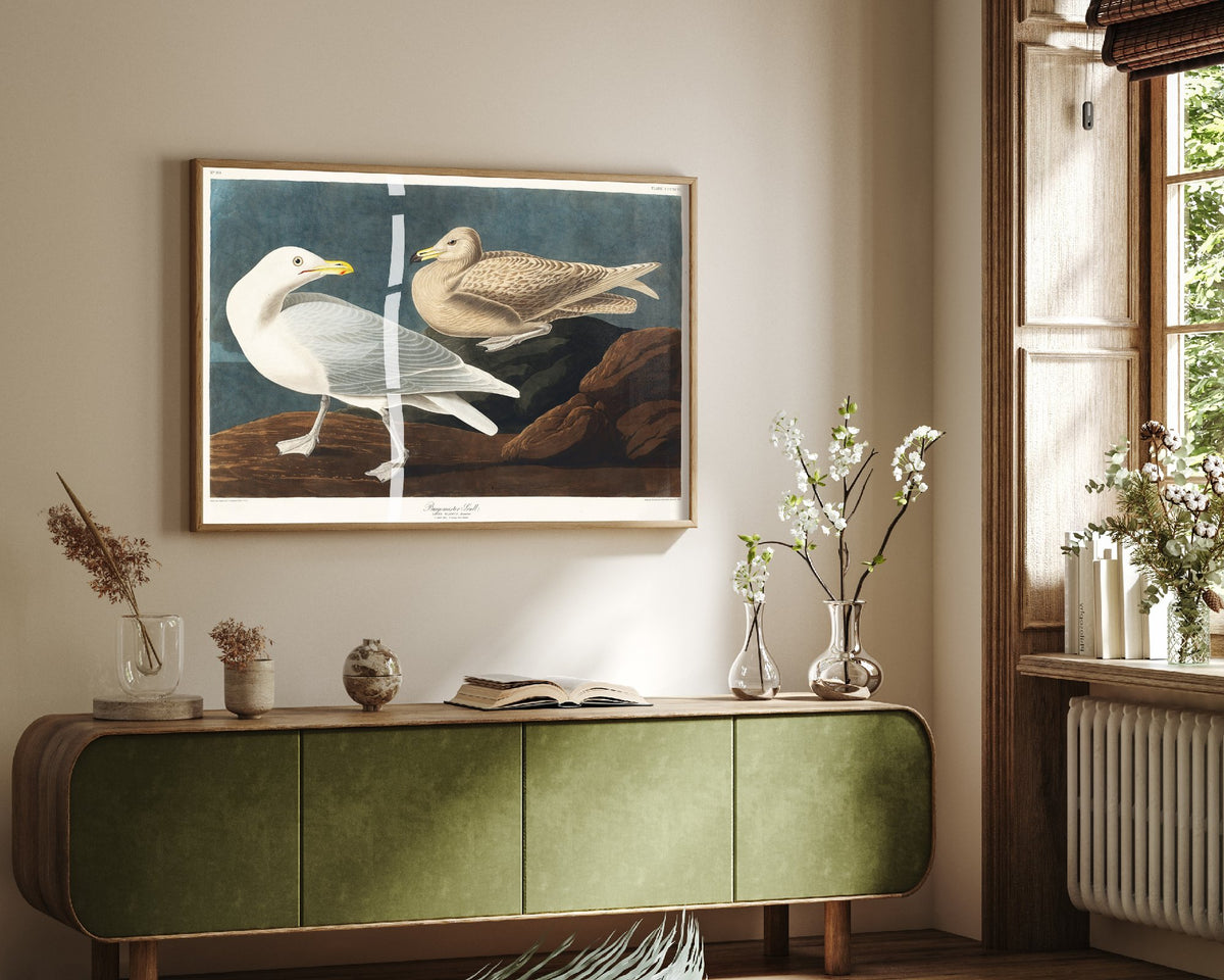 Glaucous Gull Art Print - John James Audubon Poster - Birds of America Vintage Illustration