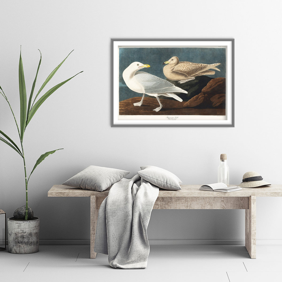 Glaucous Gull Art Print - John James Audubon Poster - Birds of America Vintage Illustration