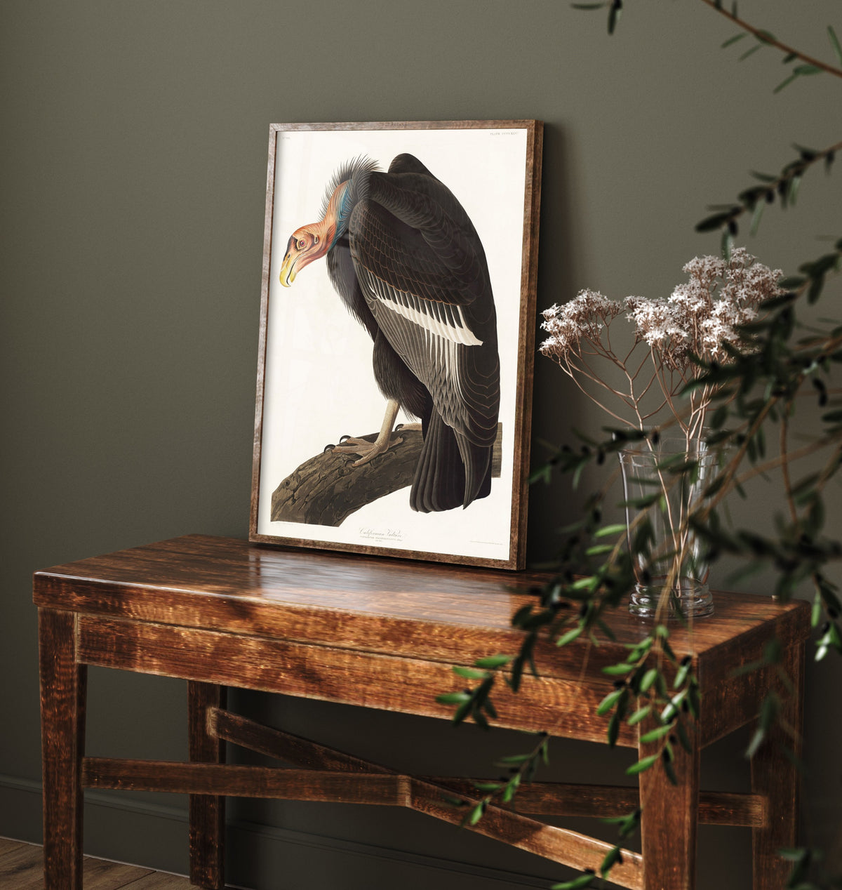California Condor Art Print - John James Audubon Poster - Birds of America Vintage Illustration
