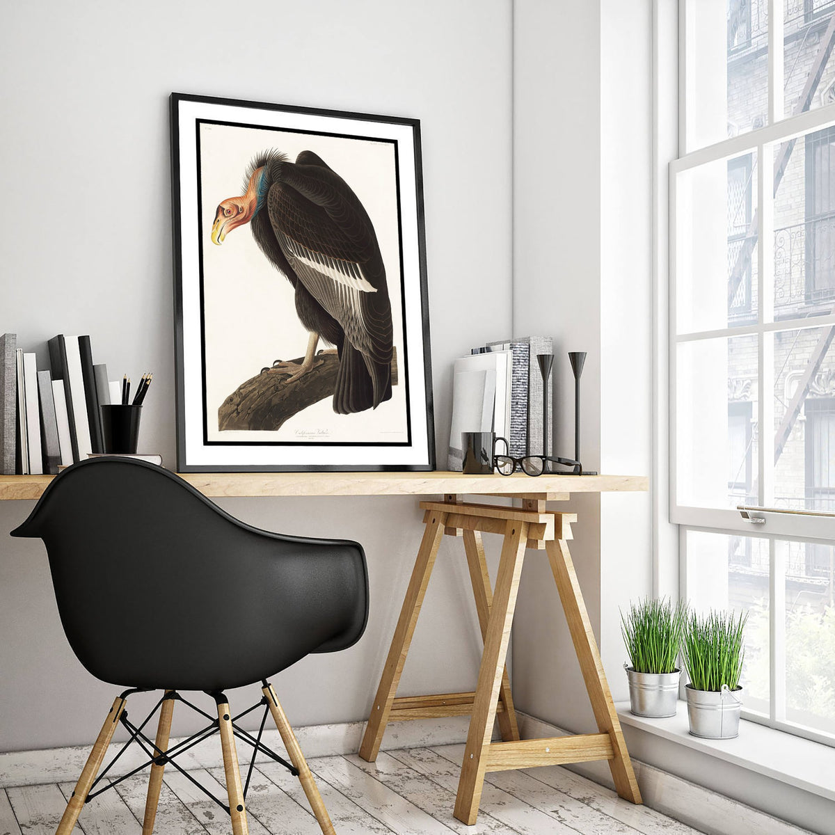 California Condor Art Print - John James Audubon Poster - Birds of America Vintage Illustration