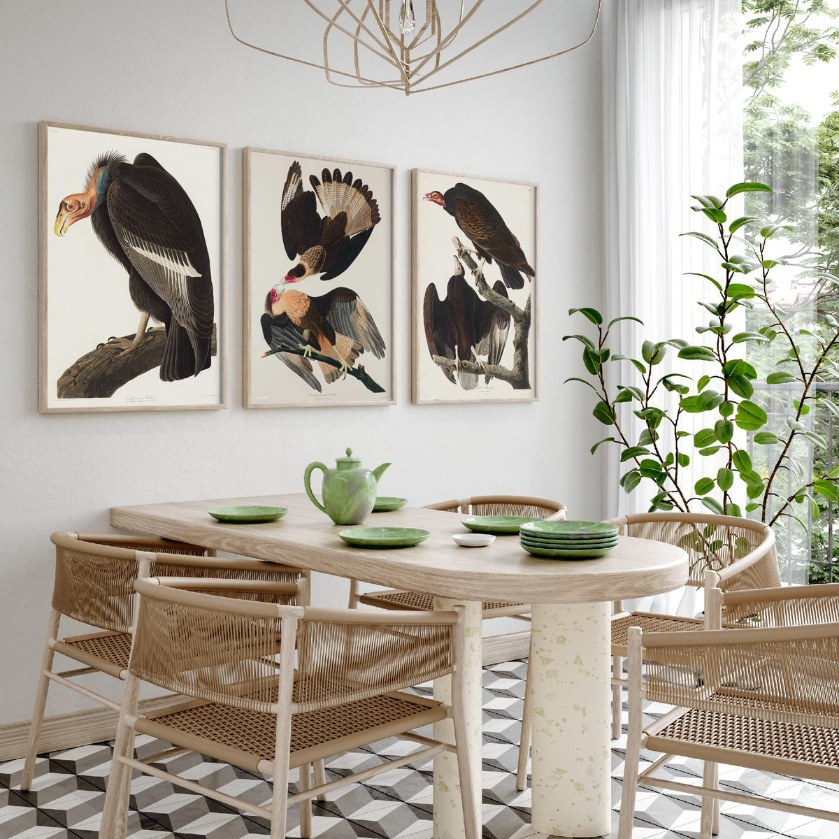 Set of Three John James Audubon Prints - California Vulture Caracara and Turkey Buzzard - 3 Bird Paintings Poster Wall Art