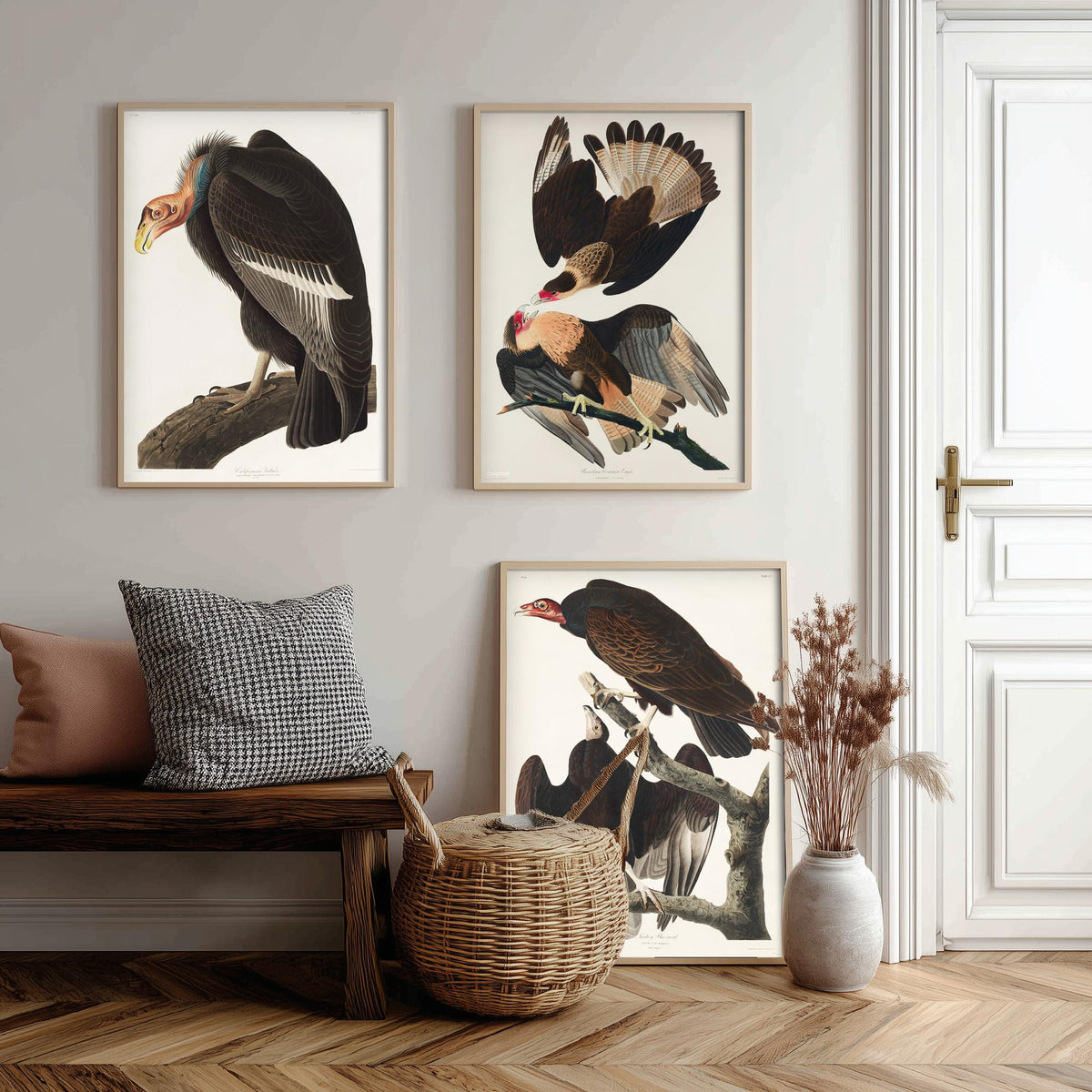 Set of Three John James Audubon Prints - California Vulture Caracara and Turkey Buzzard - 3 Bird Paintings Poster Wall Art