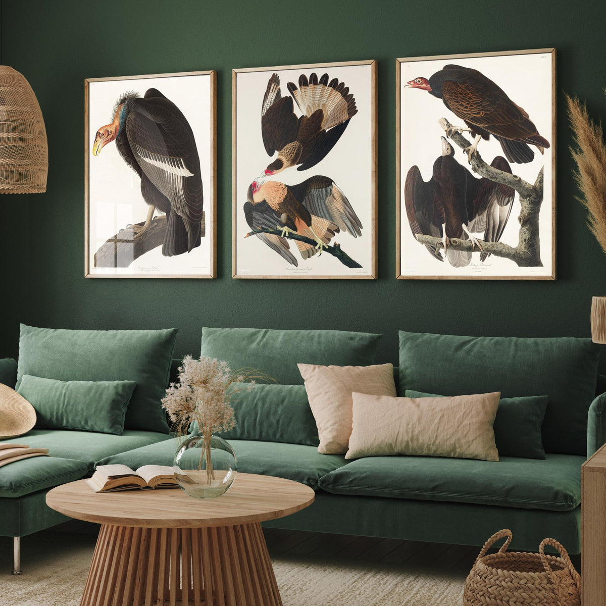 Set of Three John James Audubon Prints - California Vulture Caracara and Turkey Buzzard - 3 Bird Paintings Poster Wall Art