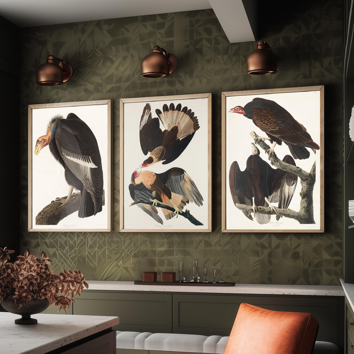 Set of Three John James Audubon Prints - California Vulture Caracara and Turkey Buzzard - 3 Bird Paintings Poster Wall Art