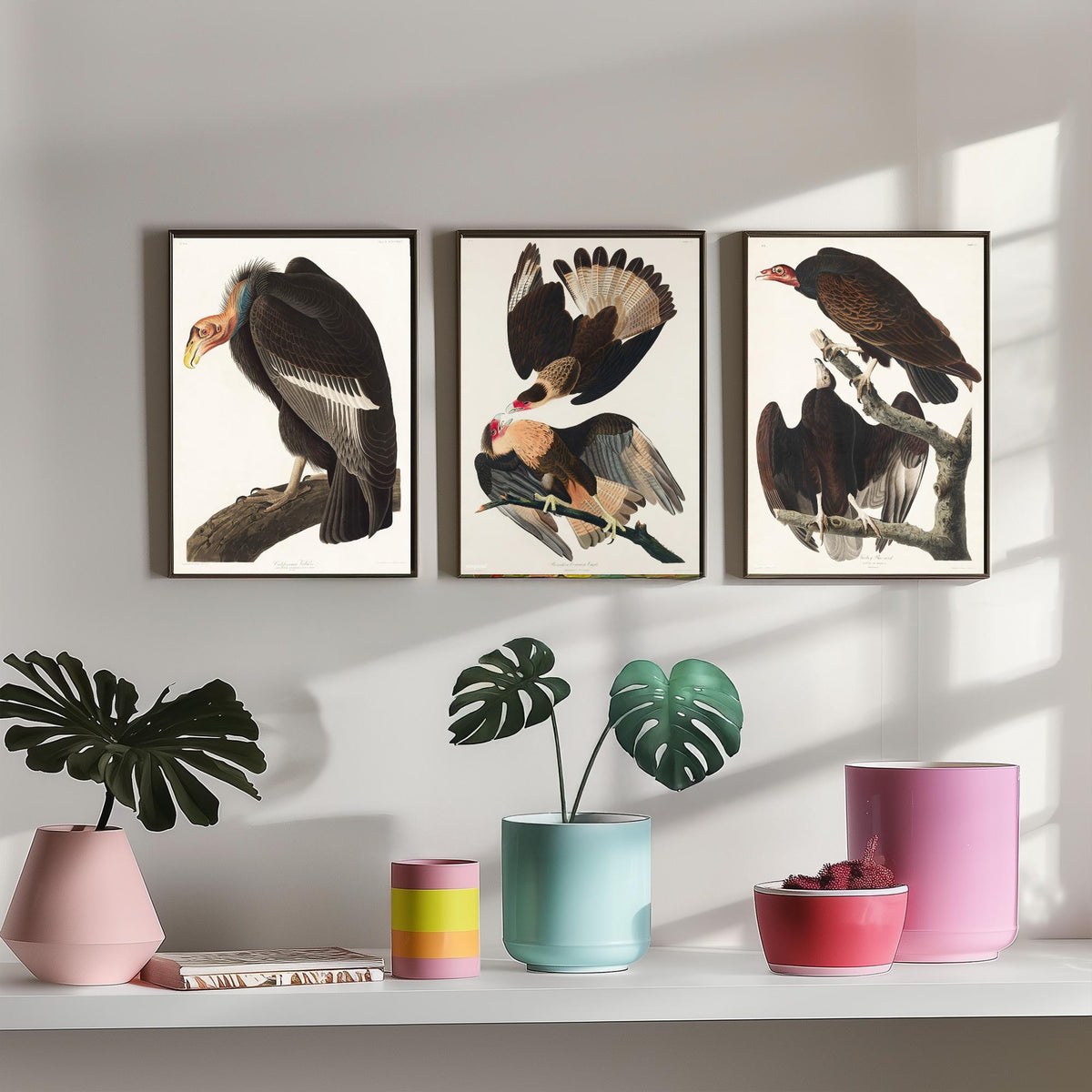 Set of Three John James Audubon Prints - California Vulture Caracara and Turkey Buzzard - 3 Bird Paintings Poster Wall Art