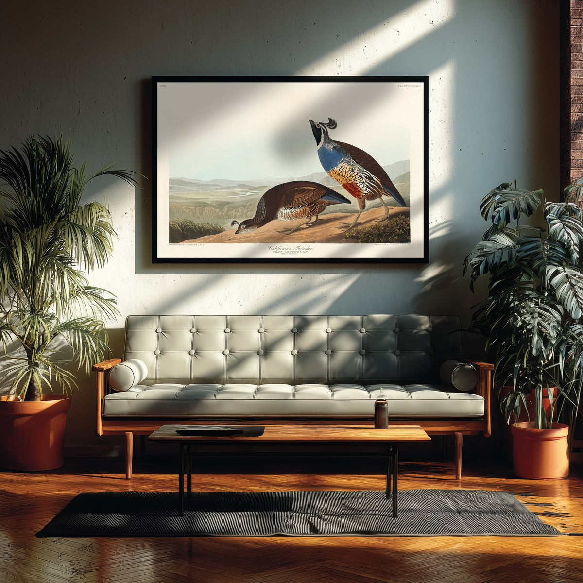 California Quail Art Print - John James Audubon Poster - Birds of America Vintage Illustration