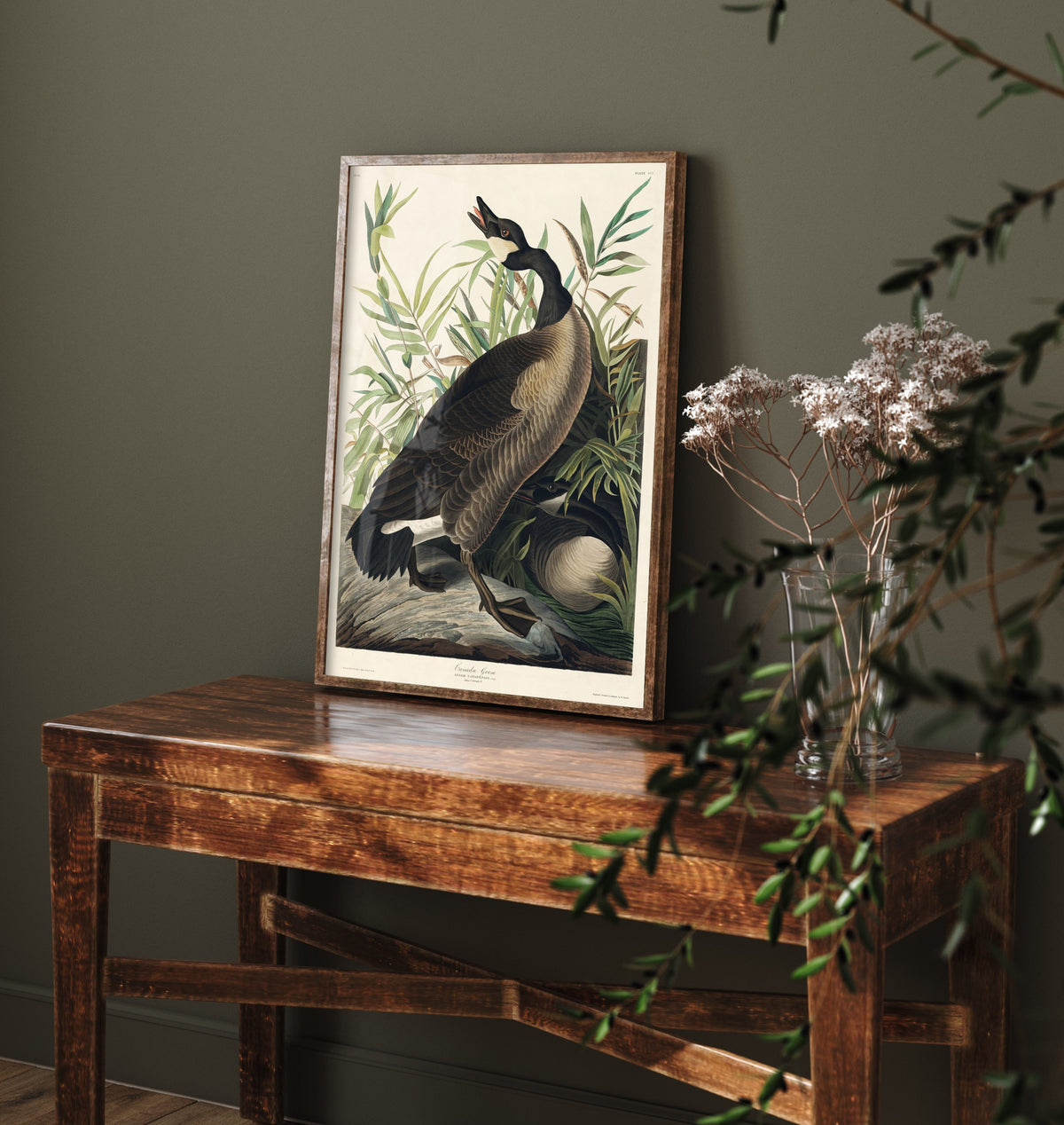 Canada Goose Art Print - John James Audubon Poster - Birds of America Vintage Illustration