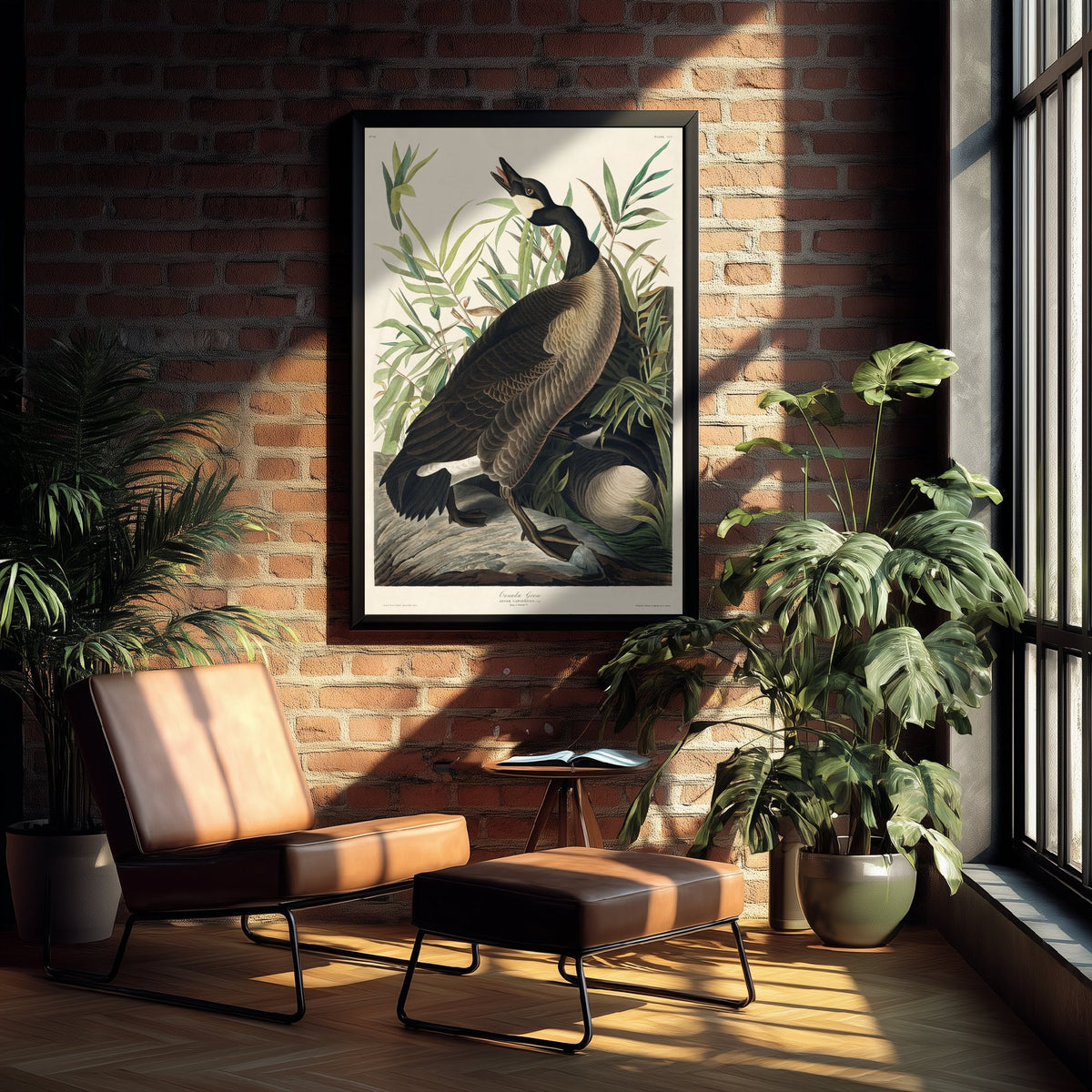 Canada Goose Art Print - John James Audubon Poster - Birds of America Vintage Illustration