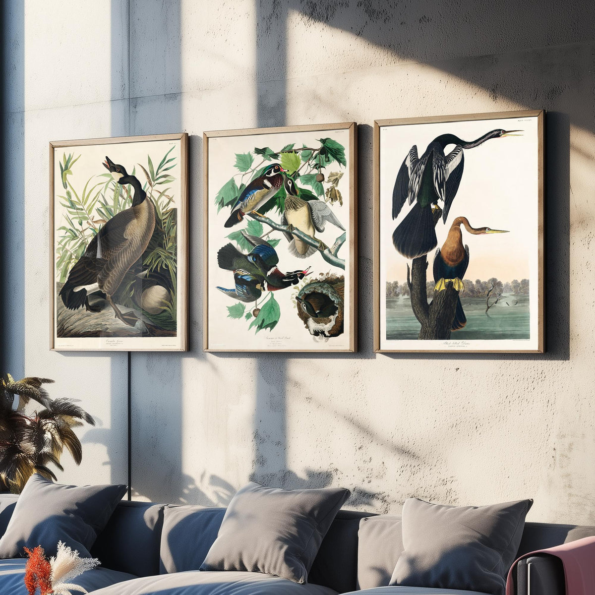 Set of Three John James Audubon Prints - Canada Goose Wood Duck and Black-bellied Darter - 3 Bird Paintings Poster Wall Art