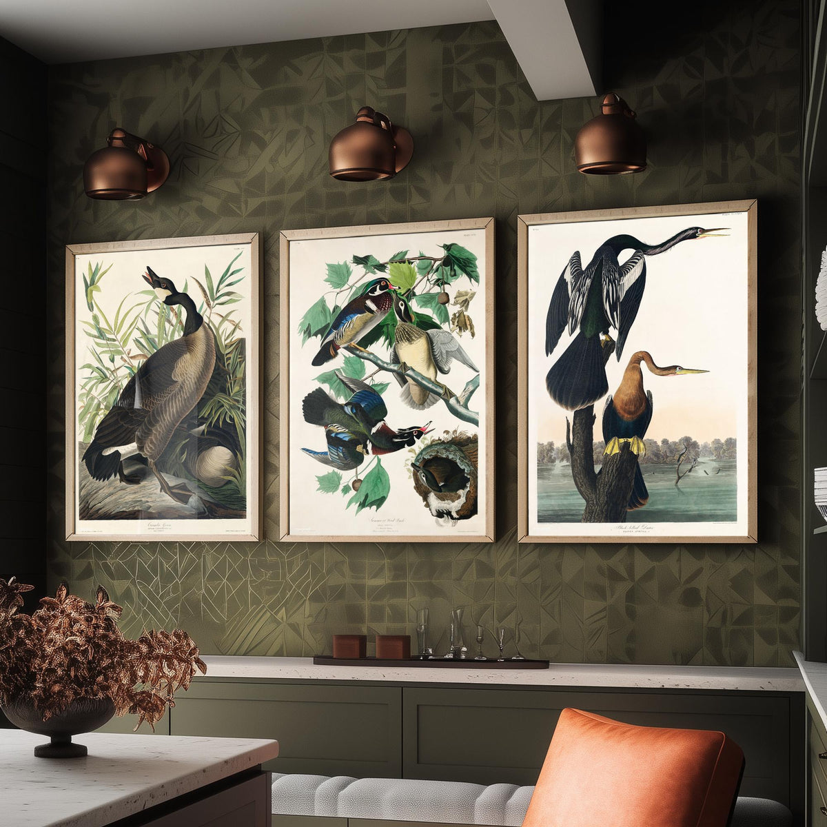 Set of Three John James Audubon Prints - Canada Goose Wood Duck and Black-bellied Darter - 3 Bird Paintings Poster Wall Art