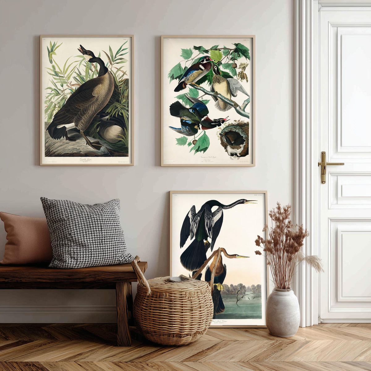 Set of Three John James Audubon Prints - Canada Goose Wood Duck and Black-bellied Darter - 3 Bird Paintings Poster Wall Art