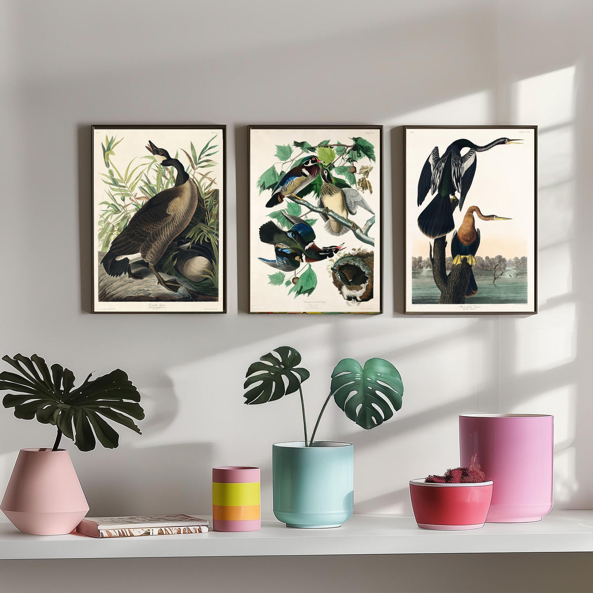 Set of Three John James Audubon Prints - Canada Goose Wood Duck and Black-bellied Darter - 3 Bird Paintings Poster Wall Art