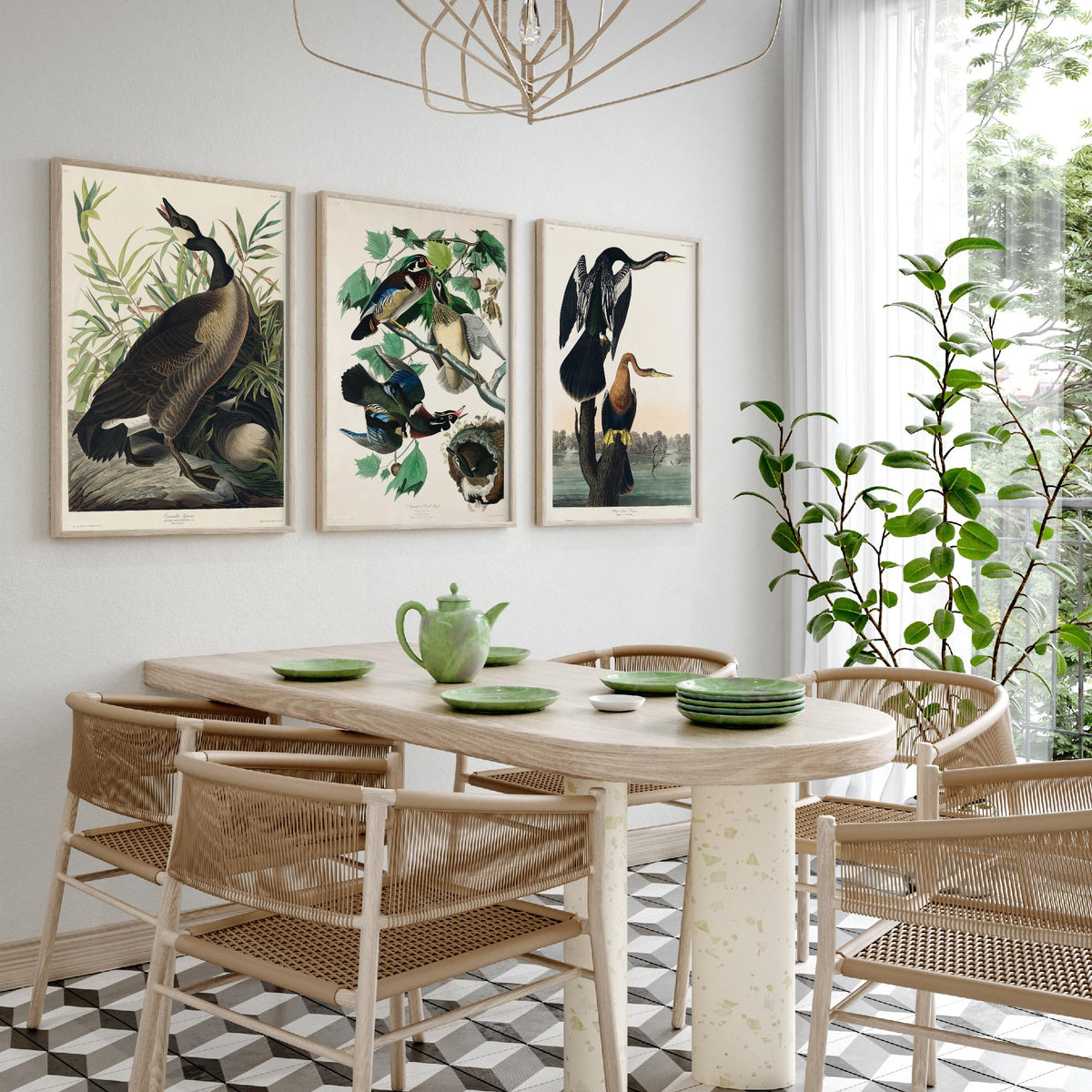 Set of Three John James Audubon Prints - Canada Goose Wood Duck and Black-bellied Darter - 3 Bird Paintings Poster Wall Art