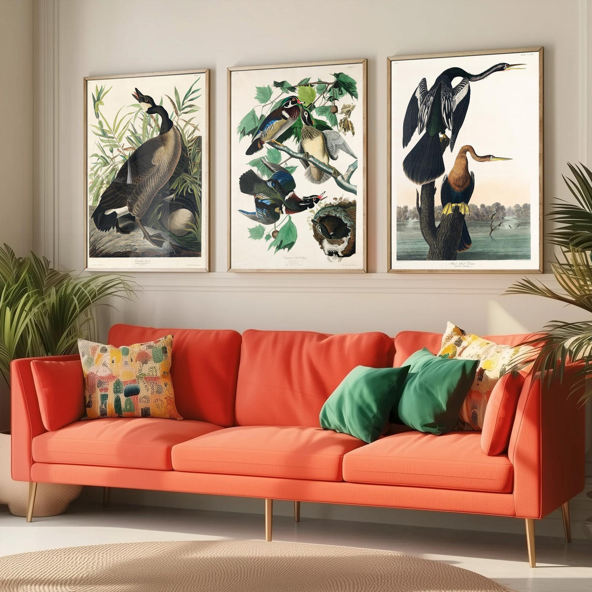 Set of Three John James Audubon Prints - Canada Goose Wood Duck and Black-bellied Darter - 3 Bird Paintings Poster Wall Art