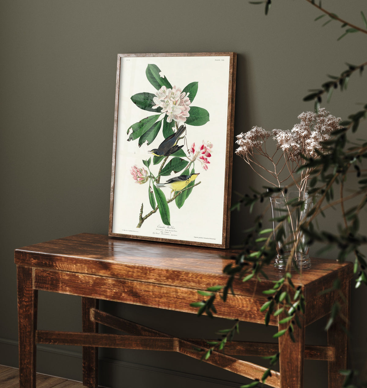 Canada Warbler Art Print - John James Audubon Poster - Birds of America Vintage Illustration