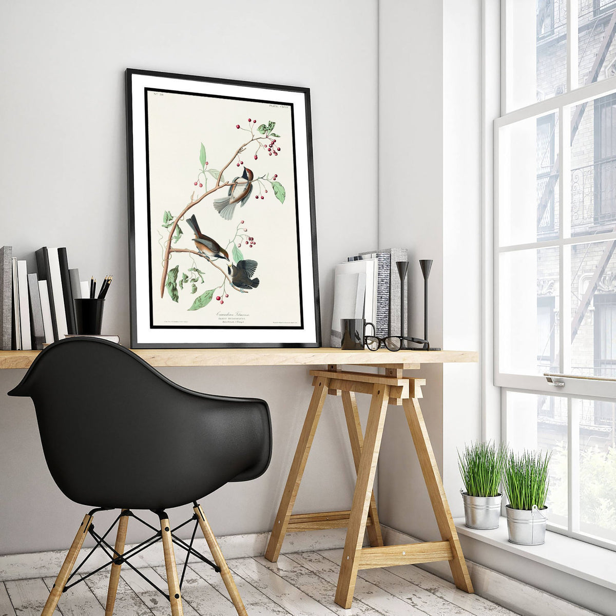Boreal Chickadee Art Print - John James Audubon Poster - Birds of America Vintage Illustration