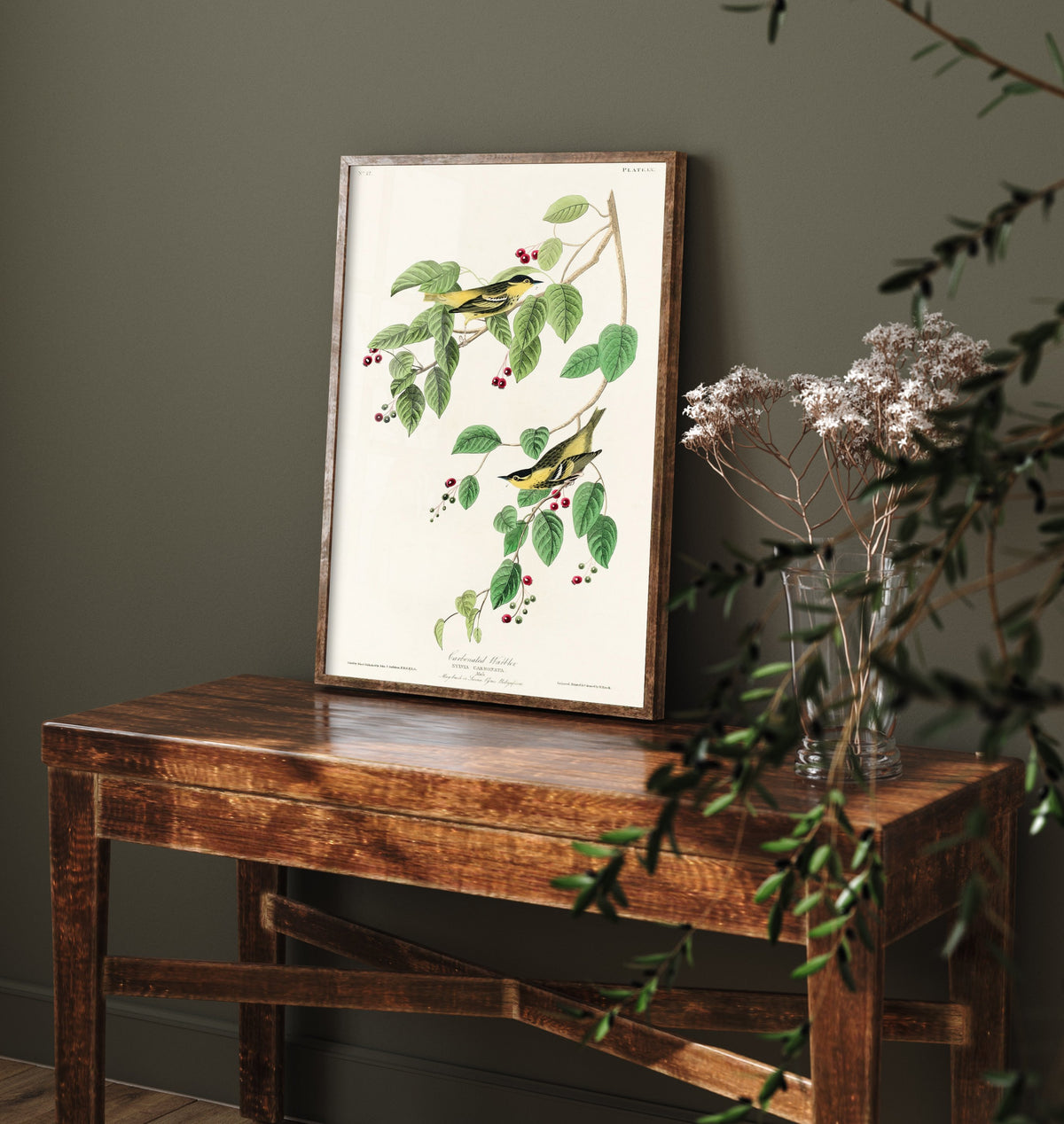 Carbonated Warbler Art Print - John James Audubon Poster - Birds of America Vintage Illustration