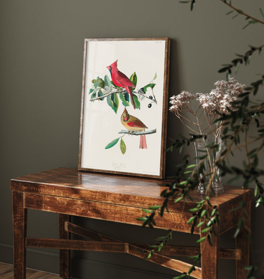 Northern Cardinal Art Print - John James Audubon Poster - Birds of America Vintage Illustration