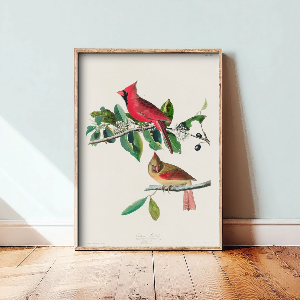 Northern Cardinal Art Print - John James Audubon Poster - Birds of America Vintage Illustration