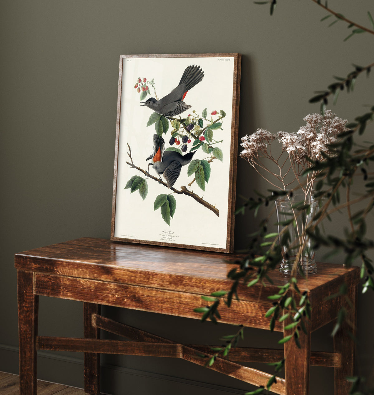 Gray Catbird Art Print - John James Audubon Poster - Birds of America Vintage Illustration
