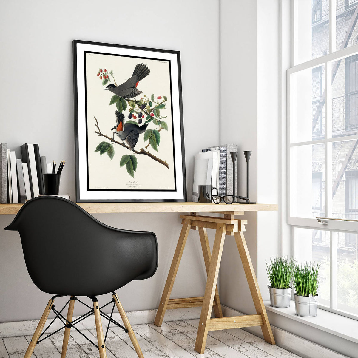 Gray Catbird Art Print - John James Audubon Poster - Birds of America Vintage Illustration