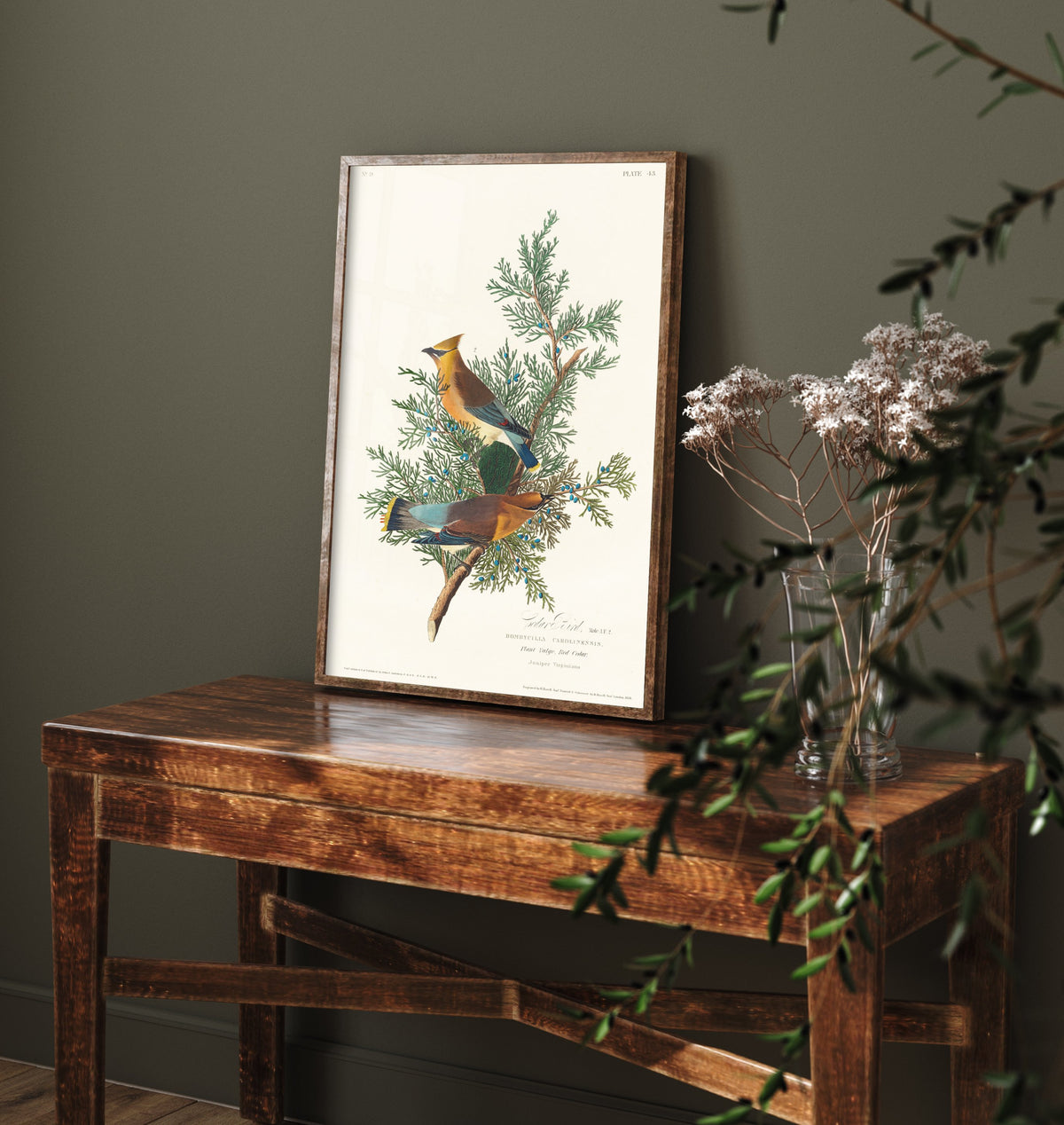 Cedar Waxwing Art Print - John James Audubon Poster - Birds of America Vintage Illustration