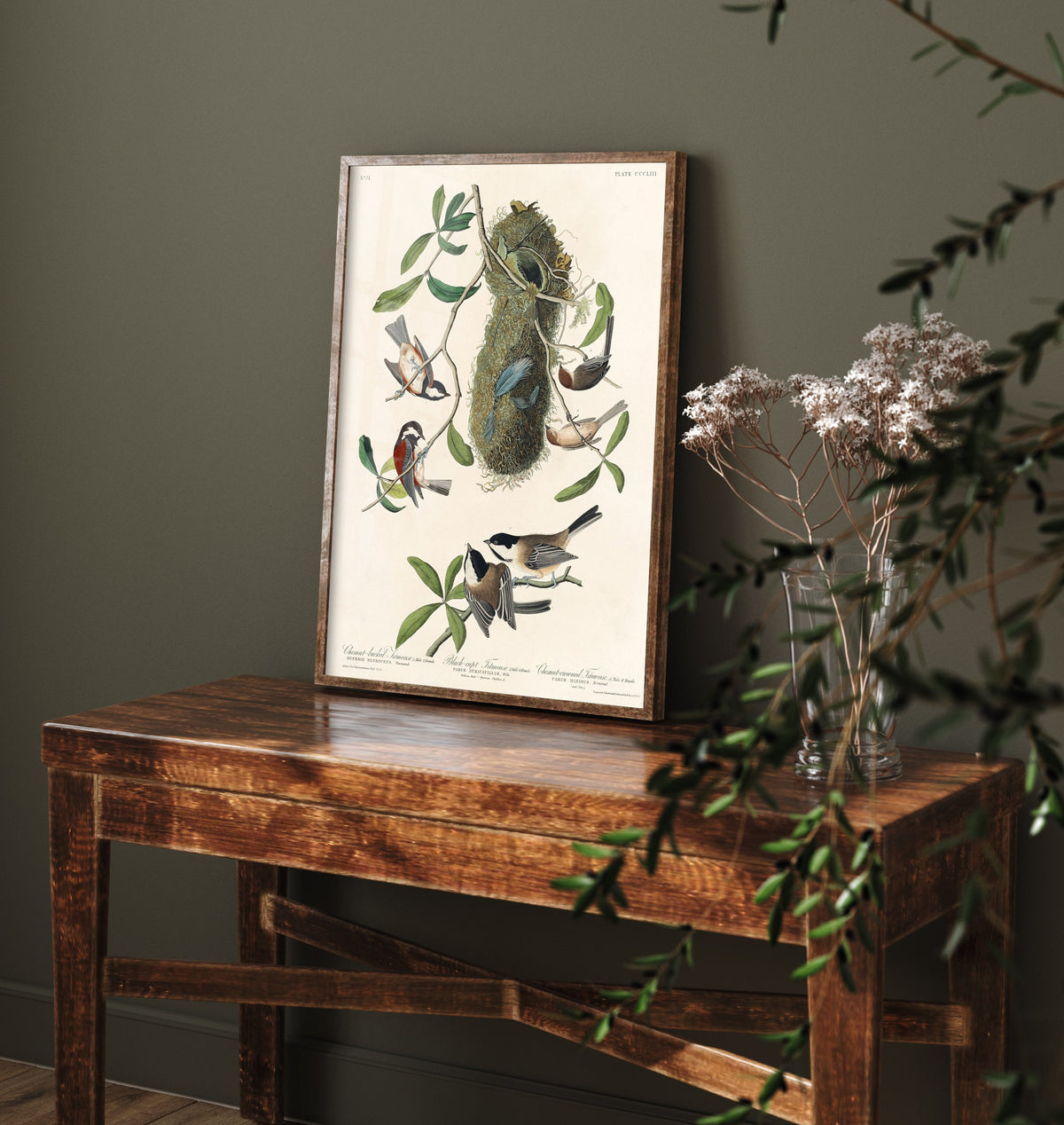 Chestnut-backed Chickadee Art Print - John James Audubon Poster - Birds of America Vintage Illustration
