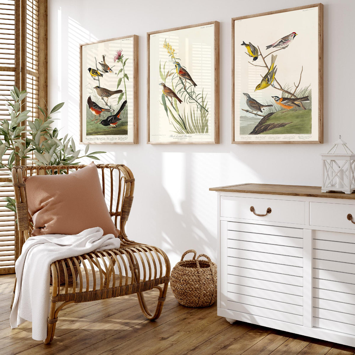 Set of Three Audubon Prints - Chestnut-collared Longspur Black-throated Bunting Smith's Longspur - 3 Bird Paintings Poster Wall Art