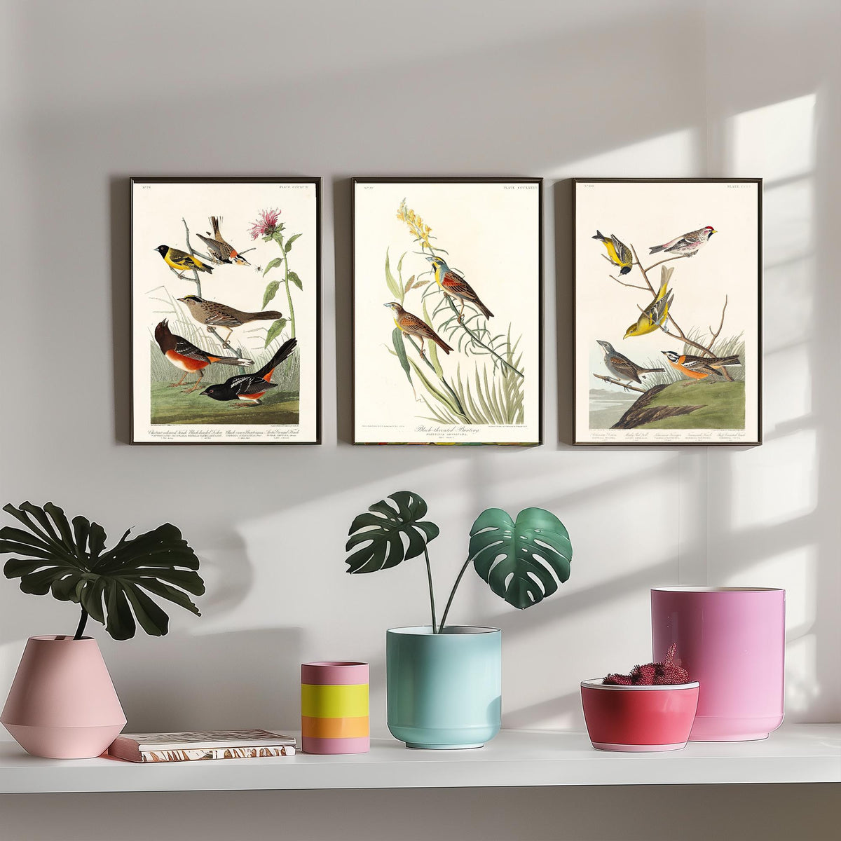 Set of Three Audubon Prints - Chestnut-collared Longspur Black-throated Bunting Smith's Longspur - 3 Bird Paintings Poster Wall Art
