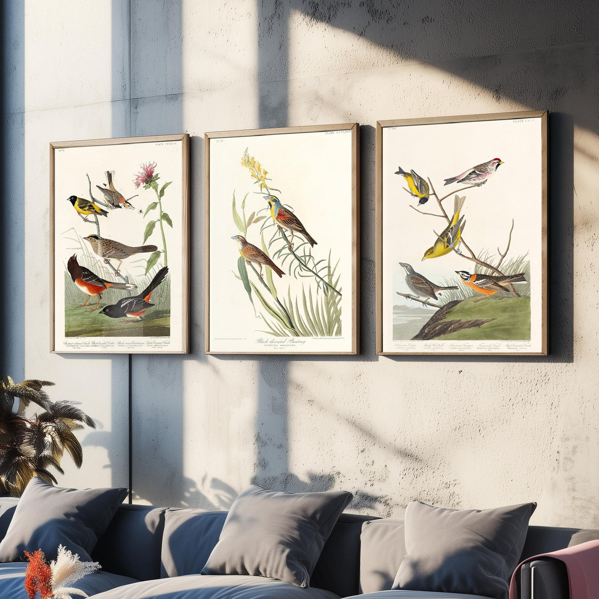 Set of Three Audubon Prints - Chestnut-collared Longspur Black-throated Bunting Smith's Longspur - 3 Bird Paintings Poster Wall Art