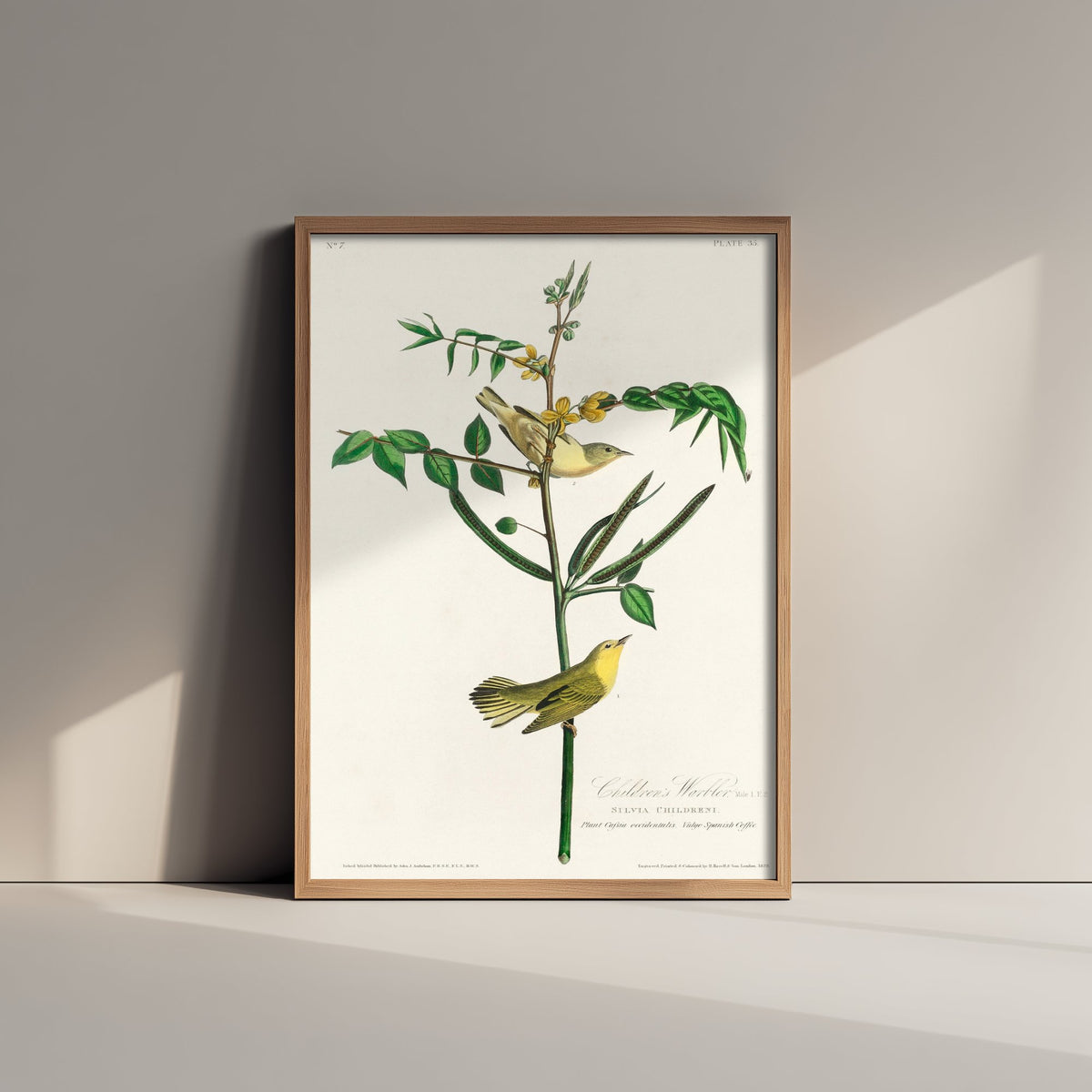 Yellow Warbler Art Print - John James Audubon Poster - Birds of America Vintage Illustration
