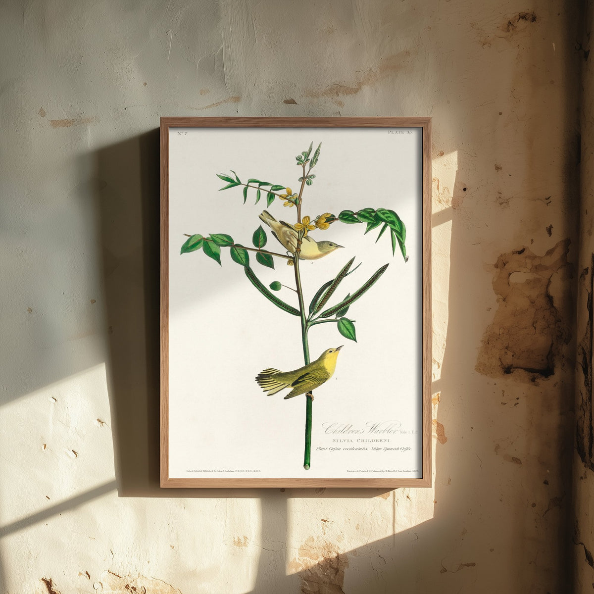 Yellow Warbler Art Print - John James Audubon Poster - Birds of America Vintage Illustration