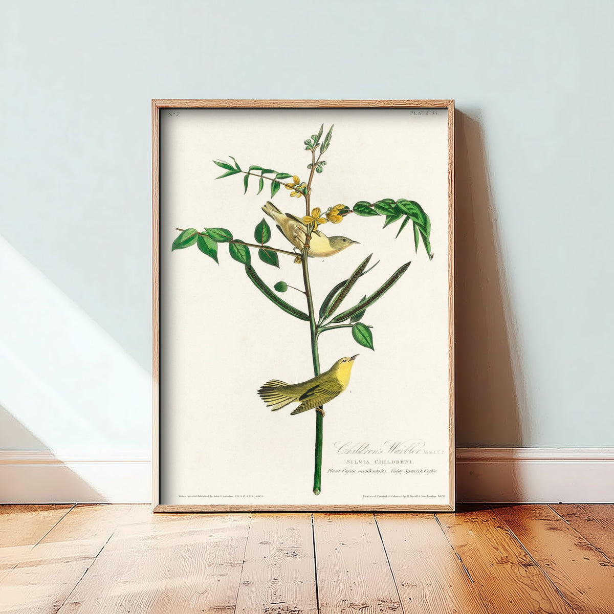 Yellow Warbler Art Print - John James Audubon Poster - Birds of America Vintage Illustration