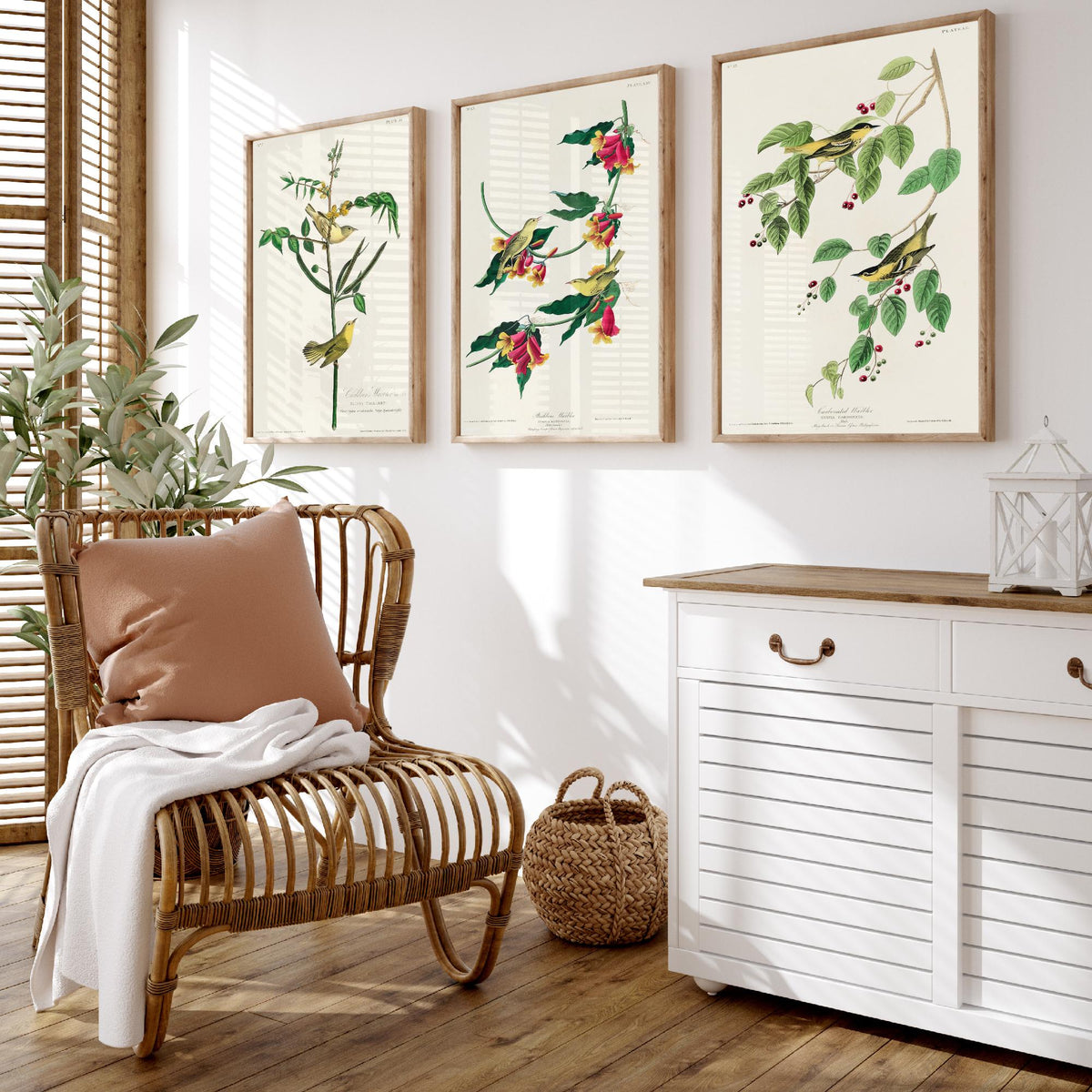 Set of Three John James Audubon Prints - Children's Rathbone and Carbonated Warblers - 3 Bird Paintings Poster Wall Art Illustration
