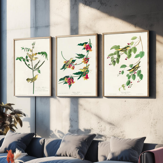 Set of Three John James Audubon Prints - Children's Rathbone and Carbonated Warblers - 3 Bird Paintings Poster Wall Art Illustration