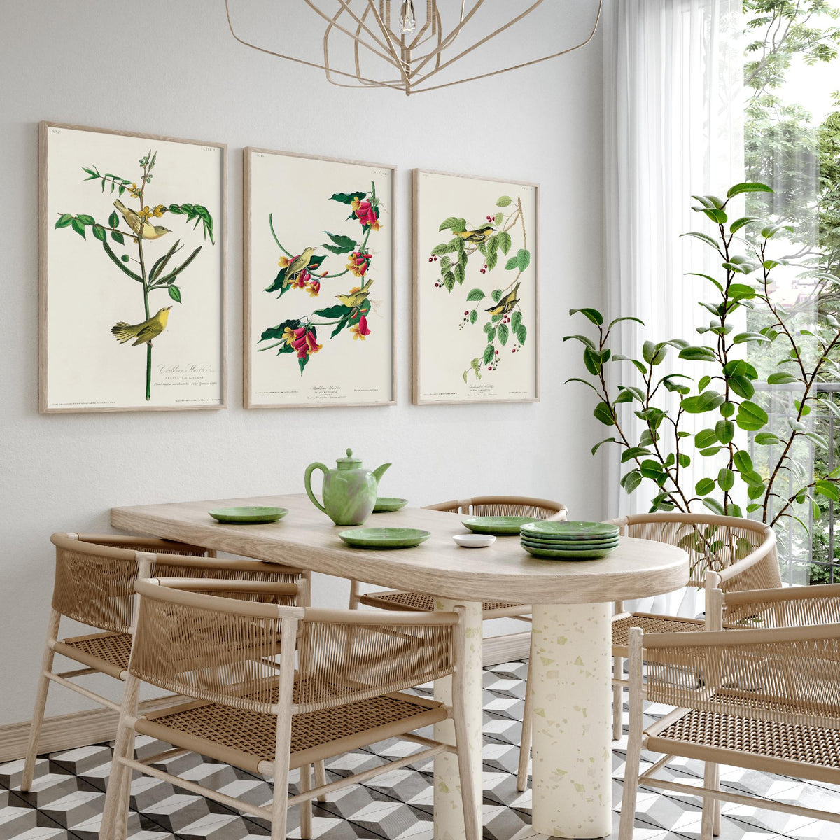 Set of Three John James Audubon Prints - Children's Rathbone and Carbonated Warblers - 3 Bird Paintings Poster Wall Art Illustration