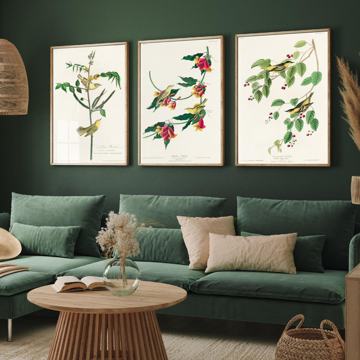 Set of Three John James Audubon Prints - Children's Rathbone and Carbonated Warblers - 3 Bird Paintings Poster Wall Art Illustration